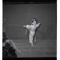 登錄號:KH2002.017.0210藏品圖，第4張