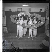 登錄號:KH2002.017.0210藏品圖，第11張