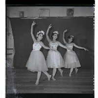 登錄號:KH2002.017.0210藏品圖，第20張