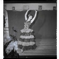 登錄號:KH2002.017.0210藏品圖，第22張