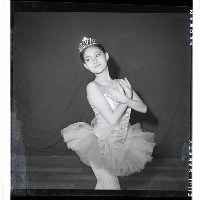 登錄號:KH2002.017.0211藏品圖，第2張