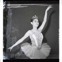 登錄號:KH2002.017.0211藏品圖，第3張