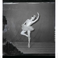 登錄號:KH2002.017.0211藏品圖，第11張