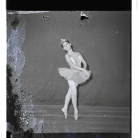 登錄號:KH2002.017.0211藏品圖，第13張