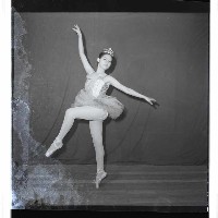 登錄號:KH2002.017.0211藏品圖，第14張