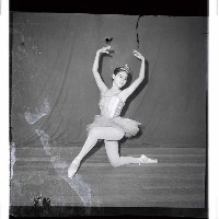 登錄號:KH2002.017.0211藏品圖，第17張