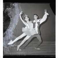 登錄號:KH2002.017.0211藏品圖，第18張