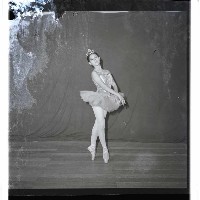 登錄號:KH2002.017.0211藏品圖，第21張