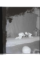 登錄號:KH2002.017.0212藏品圖，第10張