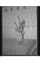 登錄號:KH2002.017.0219藏品圖，第11張