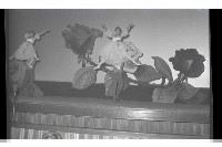 登錄號:KH2002.017.0220藏品圖，第20張