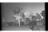 登錄號:KH2002.017.0220藏品圖，第21張