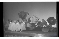 登錄號:KH2002.017.0220藏品圖，第22張