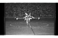 登錄號:KH2002.017.0221藏品圖，第46張