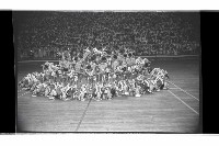 登錄號:KH2002.017.0221藏品圖，第54張