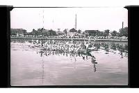 登錄號:KH2002.017.0224藏品圖，第23張