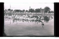 登錄號:KH2002.017.0224藏品圖，第24張