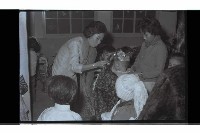 登錄號:KH2002.017.0227藏品圖，第3張