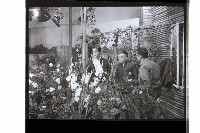 登錄號:KH2002.017.0235藏品圖，第12張