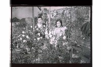 登錄號:KH2002.017.0235藏品圖，第13張