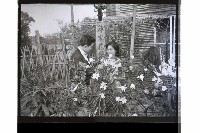 登錄號:KH2002.017.0235藏品圖，第14張