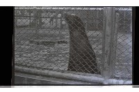 登錄號:KH2002.017.0238藏品圖，第3張