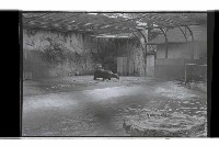 登錄號:KH2002.017.0238藏品圖，第6張