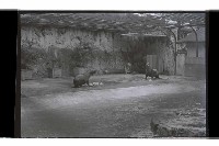 登錄號:KH2002.017.0238藏品圖，第7張