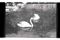 登錄號:KH2002.017.0247藏品圖，第2張