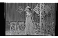 登錄號:KH2002.017.0259藏品圖，第3張