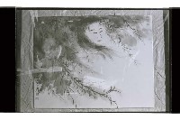 登錄號:KH2002.017.0262藏品圖，第1張