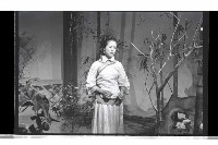 登錄號:KH2002.017.0271藏品圖，第11張