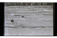 登錄號:KH2002.017.0274藏品圖，第3張