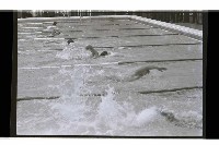 登錄號:KH2002.017.0274藏品圖，第4張