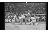 登錄號:KH2002.017.0291藏品圖，第13張