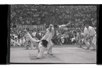 登錄號:KH2002.017.0291藏品圖，第15張