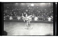 登錄號:KH2002.017.0295藏品圖，第4張