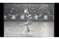 登錄號:KH2002.017.0295藏品圖，第8張