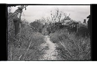 登錄號:KH2002.017.0310藏品圖，第5張