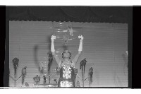 登錄號:KH2002.017.0332藏品圖，第23張