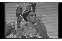 登錄號:KH2002.017.0332藏品圖，第25張