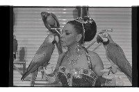 登錄號:KH2002.017.0332藏品圖，第26張