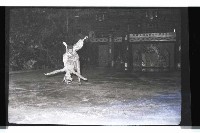 登錄號:KH2002.017.0338藏品圖，第24張