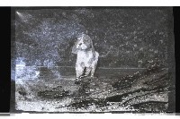 登錄號:KH2002.017.0338藏品圖，第48張