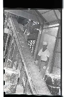 登錄號:KH2002.018.0006藏品圖，第51張