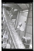 登錄號:KH2002.018.0006藏品圖，第52張