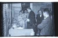 登錄號:KH2002.018.0032藏品圖，第8張