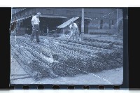 登錄號:KH2002.018.0037藏品圖，第15張