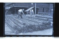 登錄號:KH2002.018.0037藏品圖，第16張