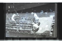 登錄號:KH2002.018.0039藏品圖，第13張